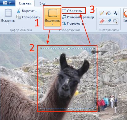 Как обрезать фотографию на компьютере в Windows